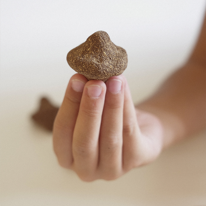 trottola laboratorio